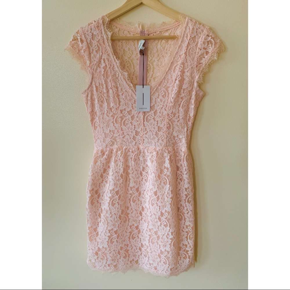 Babaton • 4 • Blush Pink V-Neck Lace Tobias Dress